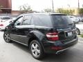 Black - ML 350 Photo No. 4