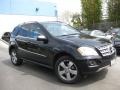 Black - ML 350 Photo No. 6