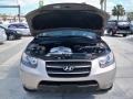 2007 Golden Beige Hyundai Santa Fe Limited  photo #30