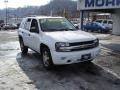 Summit White - TrailBlazer LS 4x4 Photo No. 10