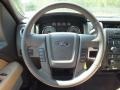 Tan Steering Wheel Photo for 2010 Ford F150 #63062770