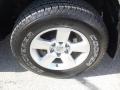Radiant Silver - Titan SE Crew Cab 4x4 Photo No. 16