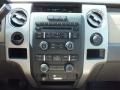Tan Controls Photo for 2010 Ford F150 #63062809