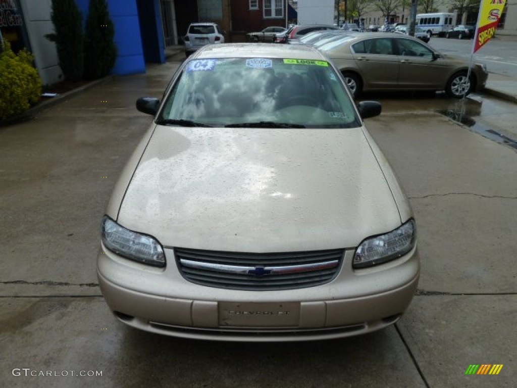 2004 Classic  - Light Driftwood Metallic / Beige photo #8