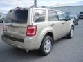 Gold Leaf Metallic - Escape XLT V6 4WD Photo No. 3
