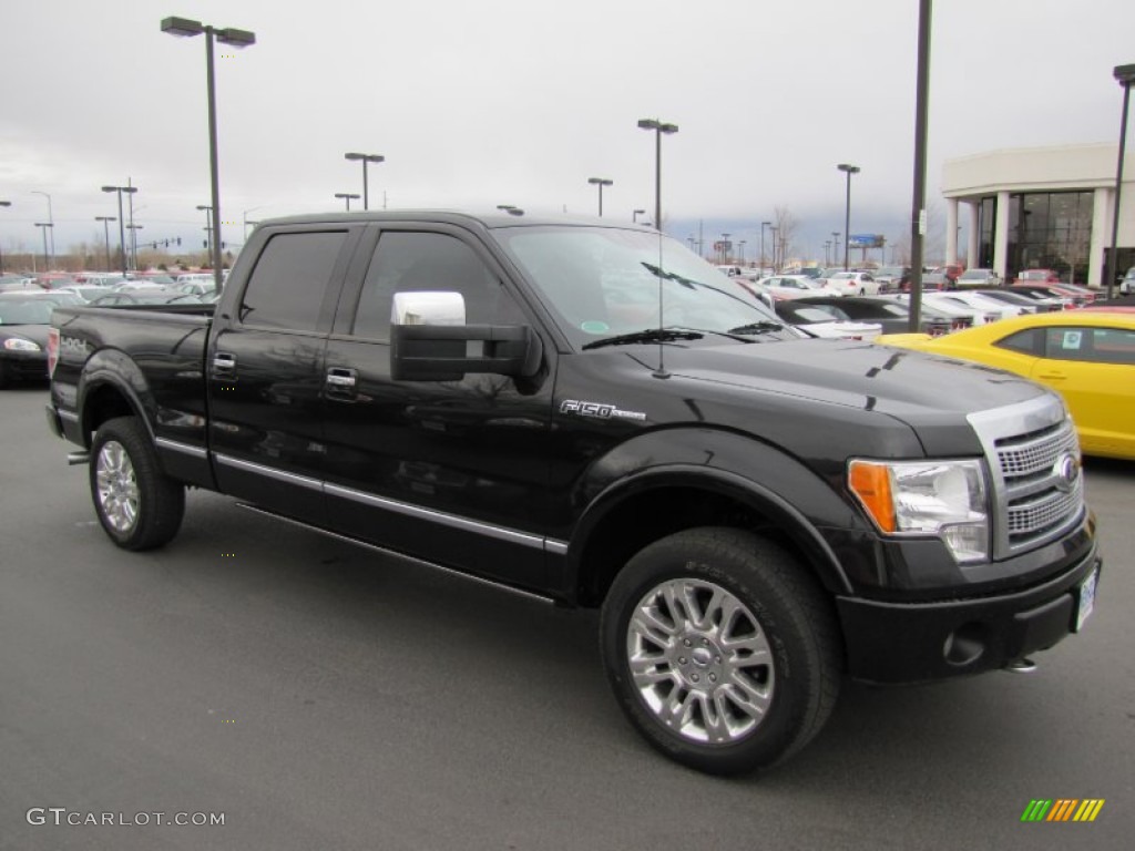 Tuxedo Black 2010 Ford F150 Platinum SuperCrew 4x4 Exterior Photo #63066913