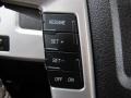 Sienna Brown Leather/Black Controls Photo for 2010 Ford F150 #63067013