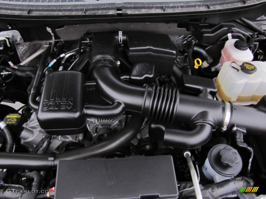 2010 Ford F150 Platinum SuperCrew 4x4 5.4 Liter Flex-Fuel SOHC 24-Valve VVT Triton V8 Engine Photo #63067198