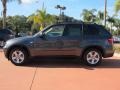 Platinum Gray Metallic - X5 xDrive35d Photo No. 2