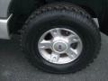 Silver Birch Metallic - Explorer Sport Trac XLT Photo No. 10