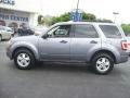 2010 Sterling Grey Metallic Ford Escape Limited V6  photo #4