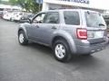 2010 Sterling Grey Metallic Ford Escape Limited V6  photo #6