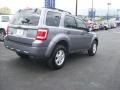 2010 Sterling Grey Metallic Ford Escape Limited V6  photo #8