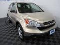 2009 Borrego Beige Metallic Honda CR-V LX 4WD  photo #1