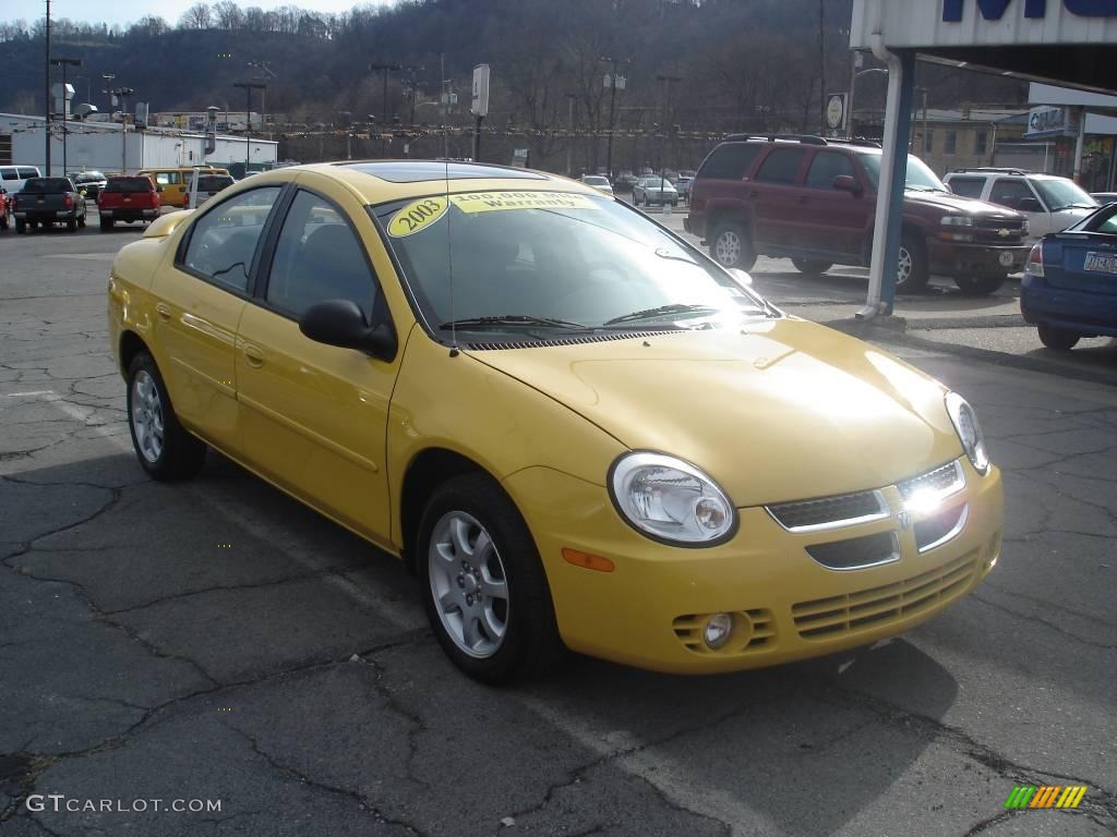 2003 Neon SXT - Solar Yellow / Dark Slate Gray photo #6