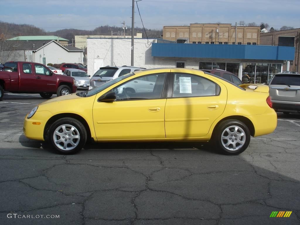 2003 Neon SXT - Solar Yellow / Dark Slate Gray photo #8