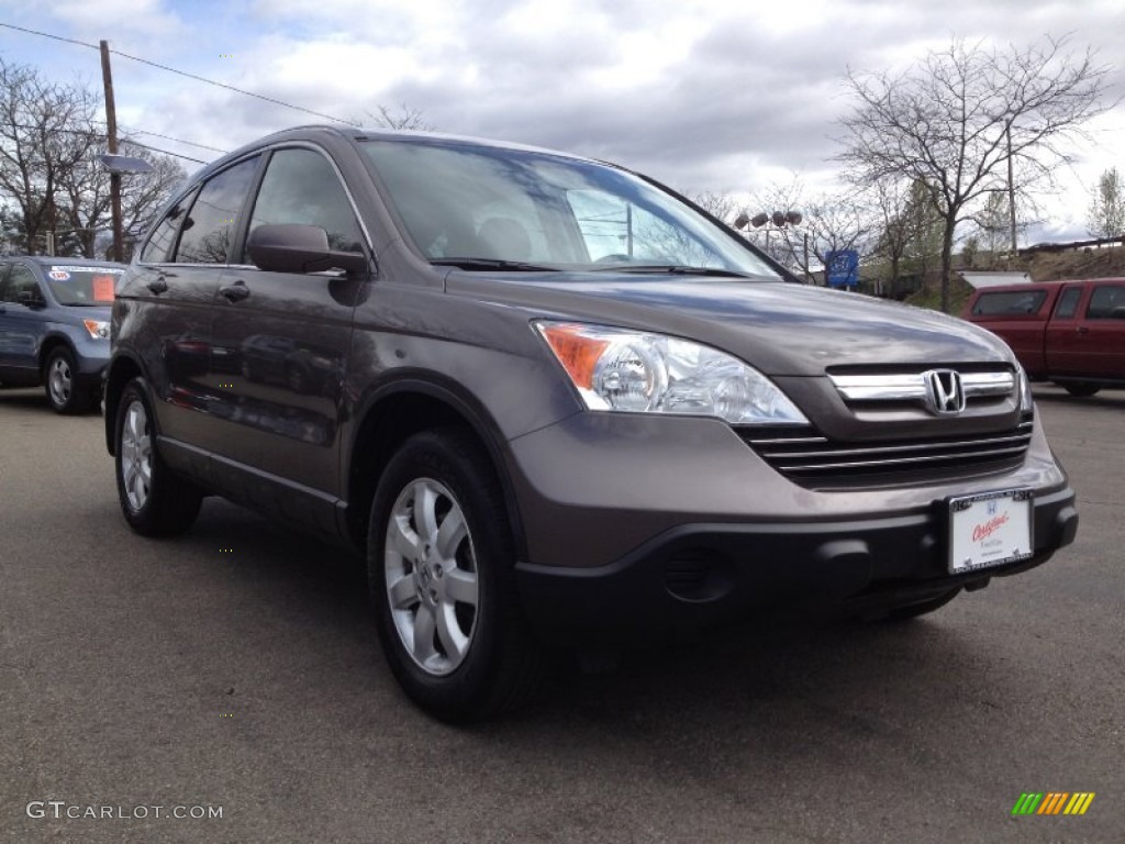 2009 CR-V EX-L 4WD - Borrego Beige Metallic / Black photo #8