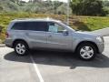 Paladium Silver Metallic - GL 450 4Matic Photo No. 2