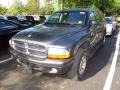 Graphite Metallic - Durango SLT 4x4 Photo No. 4