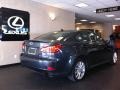 Smoky Granite Mica - IS 250 AWD Photo No. 2