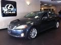 Smoky Granite Mica - IS 250 AWD Photo No. 3