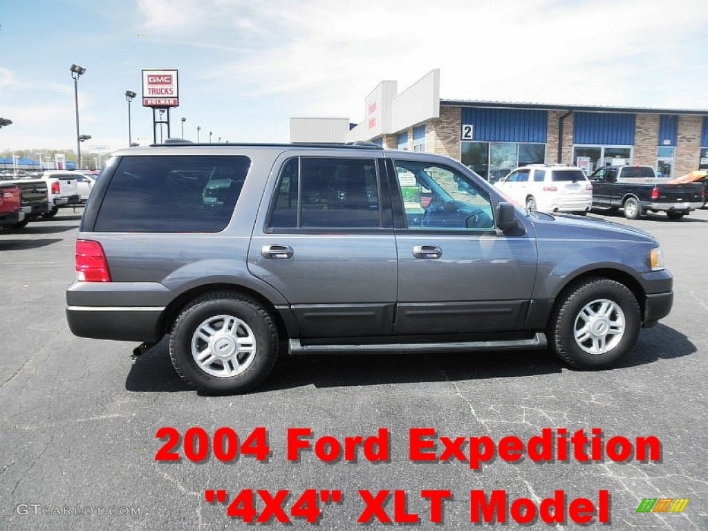 2004 Expedition XLT 4x4 - Dark Shadow Grey Metallic / Medium Flint Gray photo #1
