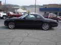 Evening Black - Thunderbird Premium Roadster Photo No. 13