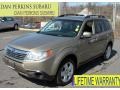 2009 Topaz Gold Metallic Subaru Forester 2.5 X Premium  photo #1