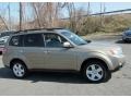 2009 Topaz Gold Metallic Subaru Forester 2.5 X Premium  photo #4