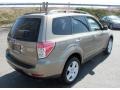 2009 Topaz Gold Metallic Subaru Forester 2.5 X Premium  photo #6