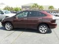 2008 Brandywine Mica Lexus RX 350  photo #2