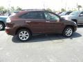 2008 Brandywine Mica Lexus RX 350  photo #9