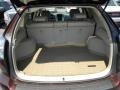 2008 Brandywine Mica Lexus RX 350  photo #15