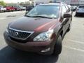 2008 Brandywine Mica Lexus RX 350  photo #20