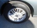 Light Tundra Metallic - Focus ZXW SES Wagon Photo No. 17