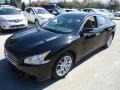 Super Black - Maxima 3.5 SV Photo No. 2