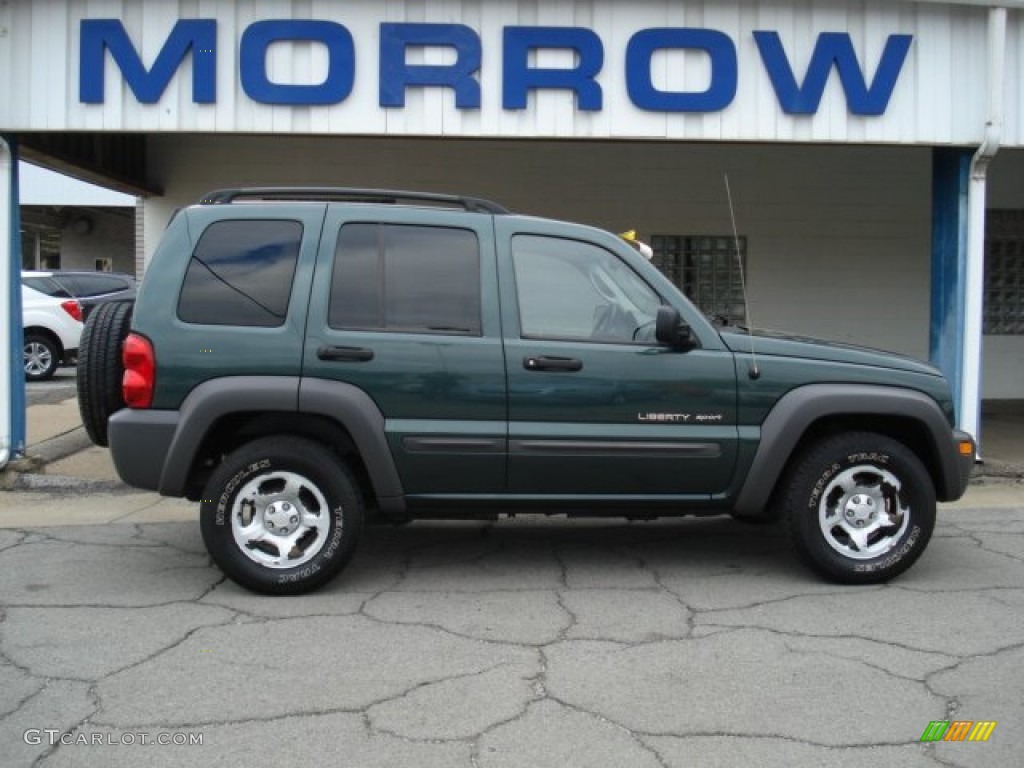 2002 Liberty Sport 4x4 - Shale Green Metallic / Dark Slate Gray photo #1