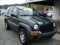 2002 Shale Green Metallic Jeep Liberty Sport 4x4  photo #2