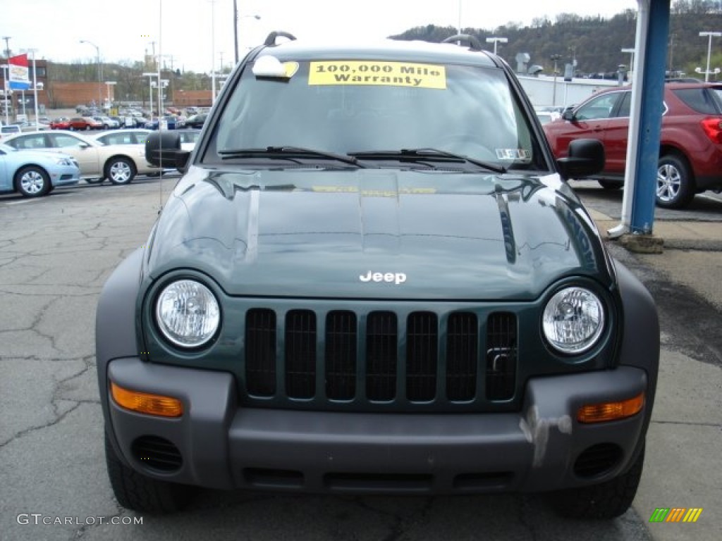 2002 Liberty Sport 4x4 - Shale Green Metallic / Dark Slate Gray photo #3