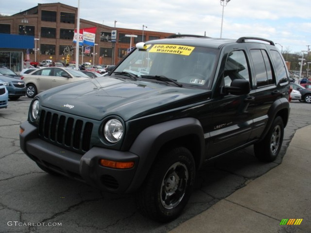 2002 Liberty Sport 4x4 - Shale Green Metallic / Dark Slate Gray photo #4