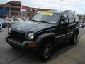 2002 Shale Green Metallic Jeep Liberty Sport 4x4  photo #4