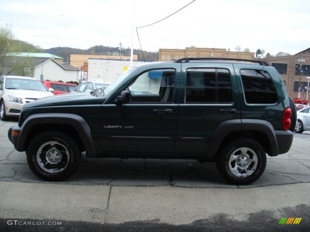 2002 Liberty Sport 4x4 - Shale Green Metallic / Dark Slate Gray photo #5