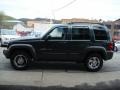 2002 Shale Green Metallic Jeep Liberty Sport 4x4  photo #5
