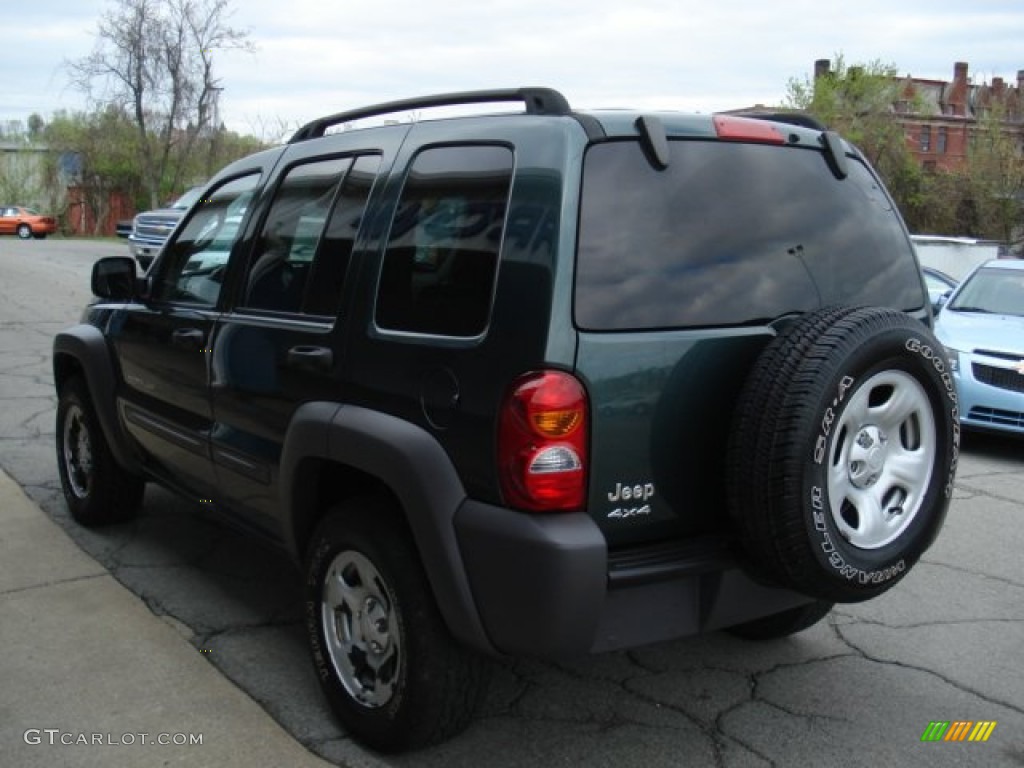 2002 Liberty Sport 4x4 - Shale Green Metallic / Dark Slate Gray photo #6