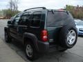 2002 Shale Green Metallic Jeep Liberty Sport 4x4  photo #6