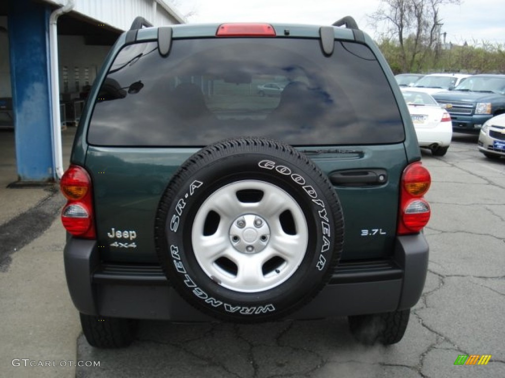 2002 Liberty Sport 4x4 - Shale Green Metallic / Dark Slate Gray photo #7