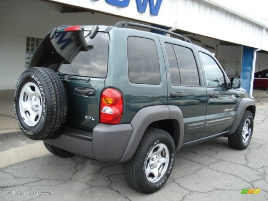 2002 Liberty Sport 4x4 - Shale Green Metallic / Dark Slate Gray photo #8