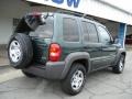 2002 Shale Green Metallic Jeep Liberty Sport 4x4  photo #8