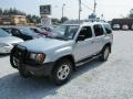 Silver Ice Metallic - Xterra XE V6 4x4 Photo No. 10