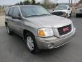 Pewter Metallic - Envoy SLT 4x4 Photo No. 5